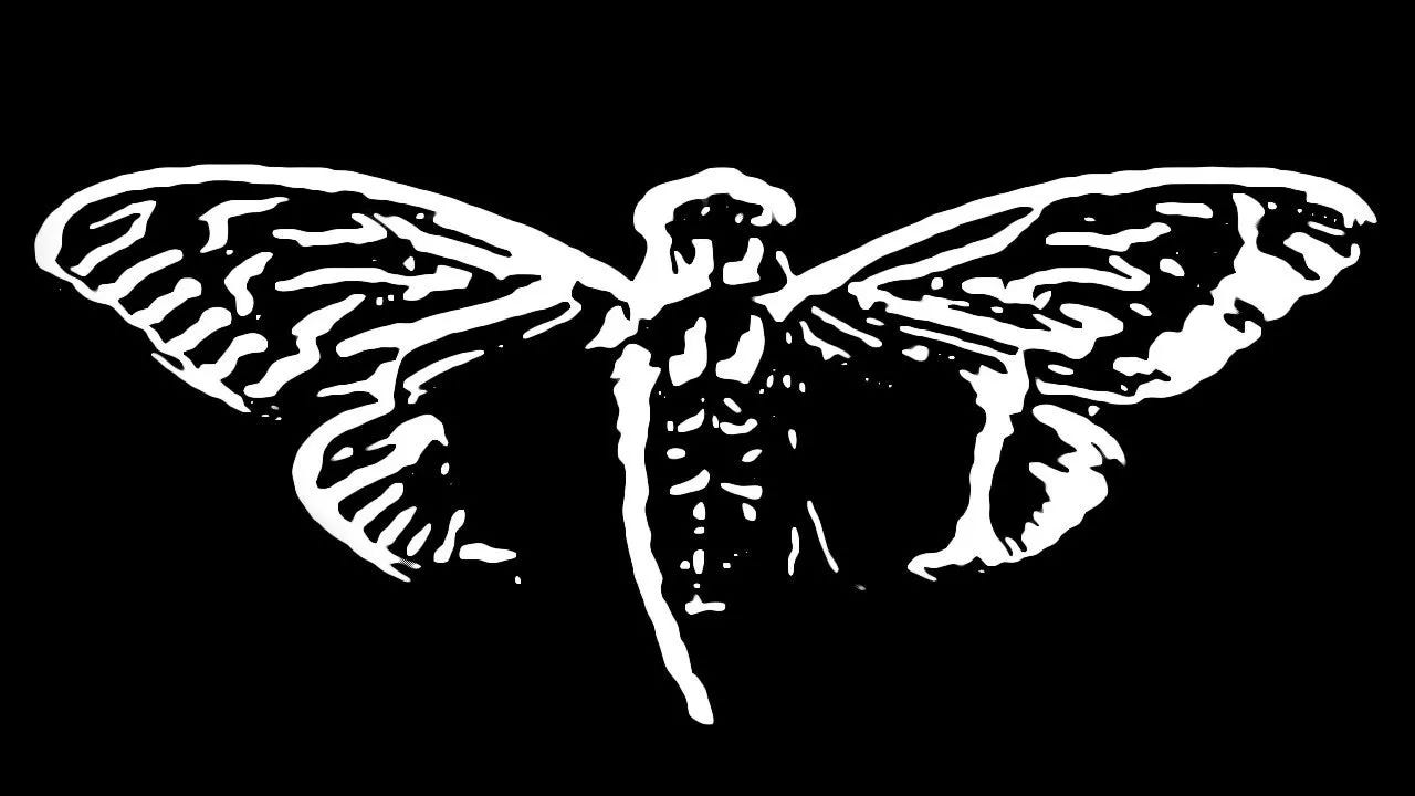 Cicada Logo
